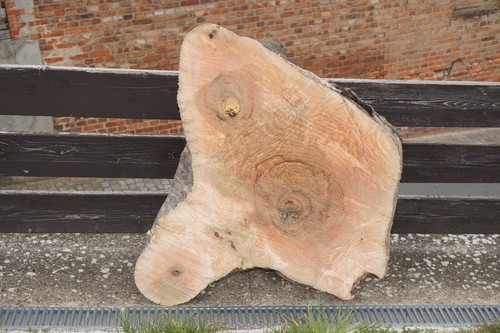 Baumscheibe holzscheibe - baumscheibe,