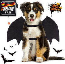 Hund fledermausflügel - hund,