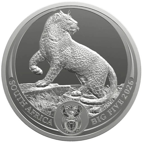 Südafrika rand 2026 big - 5,