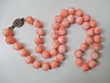 Echte Engelshaut Korallen