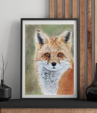 Fuchs Buntstiftzeichnung