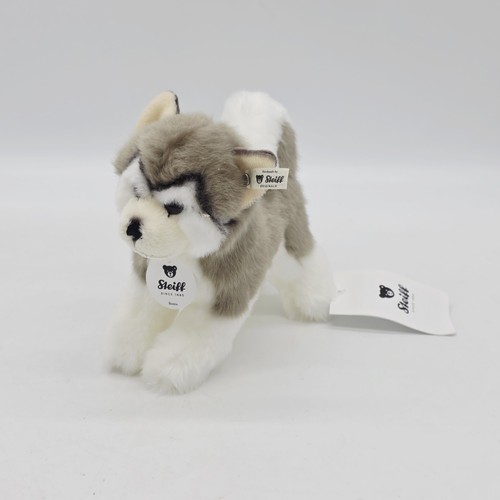 Steiff 104985 husky bernie - 104985, 17