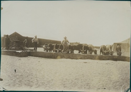 Foto namibia dswa - foto,