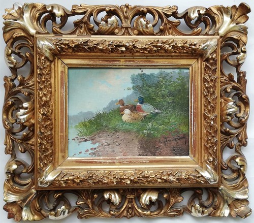 Eugen frank colon - frank, enten