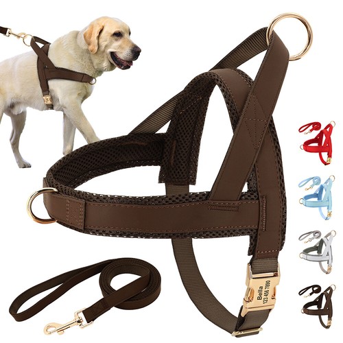Personalisiert hundegeschirr - hundegeschirr, &