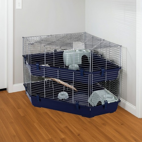 Kaninchen meerschweinchen - kaninchen,