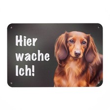 Dackel/Teckel Langhaar Braun