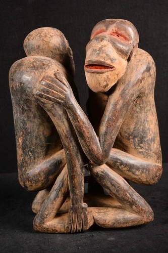 Afrikanische alte bulu - alte, affe