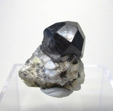 +++ Almandin X -- Steli