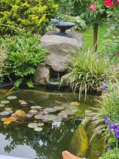 Teichfilter mit Deko-Gehäuse