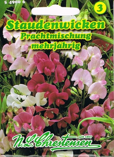 Staudenwickensamen