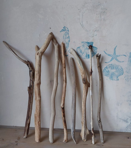 äste 46 cm treibholz - Äste/,