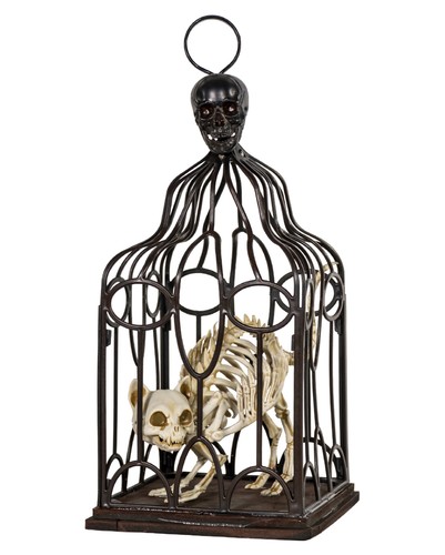 Vogelkäfig mit skelettierter - vogelkäfig,