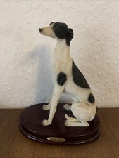 Greyhound Windhund Whippet