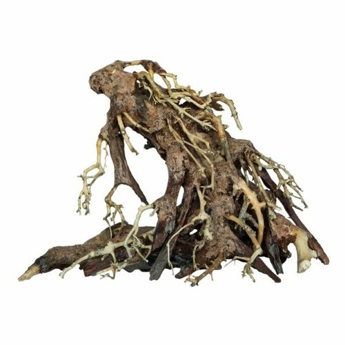 Superfish bonsai baum wurzel - superfish,