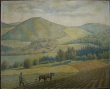 ::PFERDEPFLUG IN DER EIFEL 