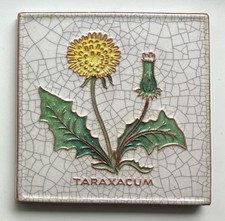 Karlsruher Majolika Wandkachel Fliese Wandbild TARAXACUM Dr.  Willmar Schwabe