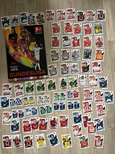 Perfektes starterangebot - perfektes,