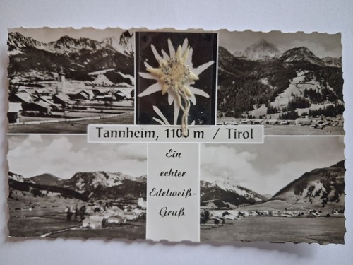 Alte postkarte tannheim - alte, /