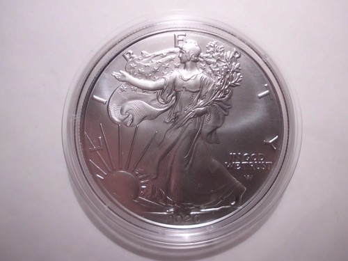 Usa dollar 2026 - usa,