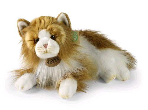 Perserkatze katze liegend - perserkatze, 30