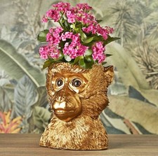 ❀ Pflanztopf Affe Kopf Gold
