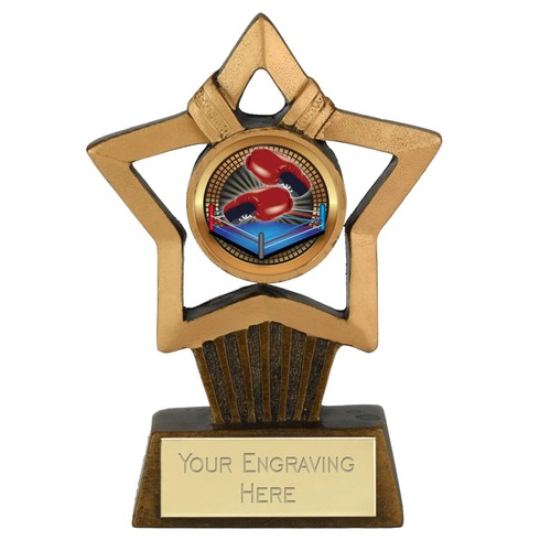 Boxring award mini star - award,