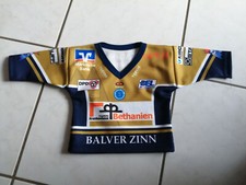 Iserlohn Roosters IEC