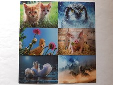 Ansichtskarte tiere wolf - 3,