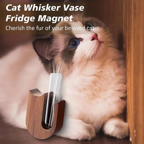 Cat whisker vase - whisker, pet