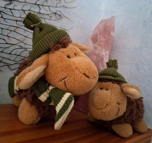 Nici schaf - 2,