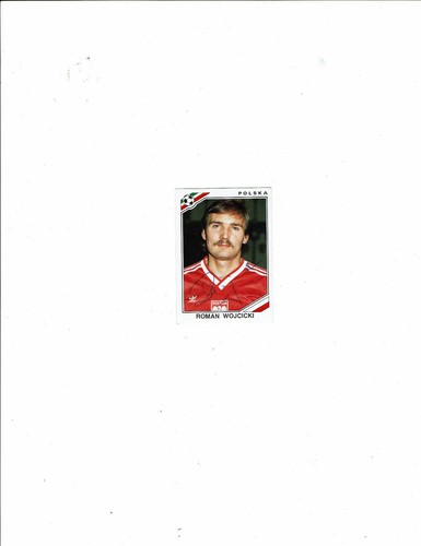 Panini roman wojcicki - wm,