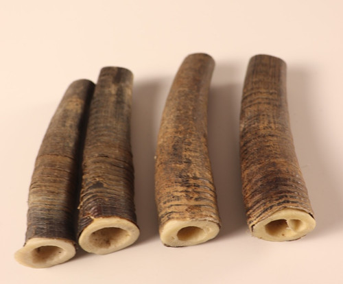 Gams gemse gamskrickerl - gams,