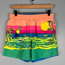 Chubbies Mens Medium Colorful