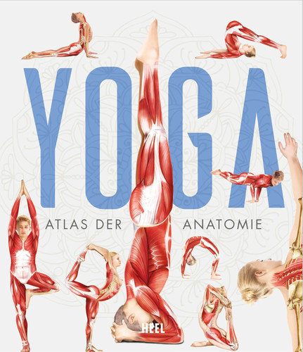 Yoga atlas der anatomie - yoga, |