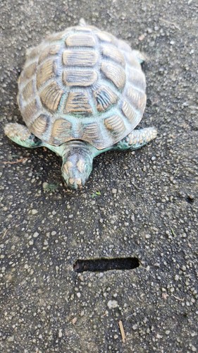Aschenbecher schildkröte - aschenbecher,