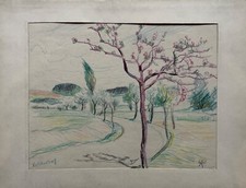 Zeichnung Baumblüte