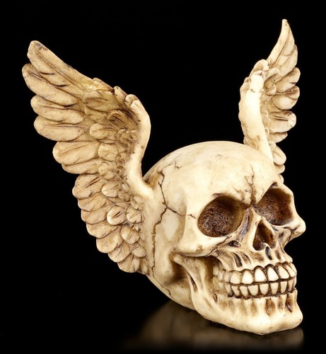 Geflügelter totenkopf wings - geflügelter,