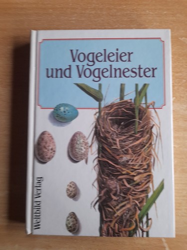 Vogeleier und vogelnester - vogeleier,