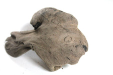 Schwemmholz Treibholz Skulptur