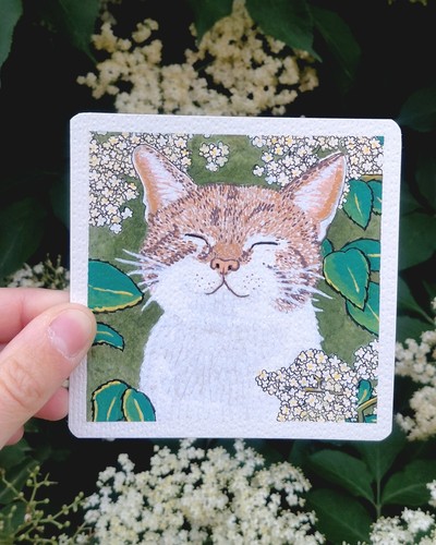 Original aquarellbild katze - original,