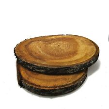 Baumscheiben Kirsche ca. 25-30