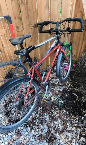 Specialized rockhopper - specialized,