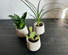 Beton Blumentopf 5er Set