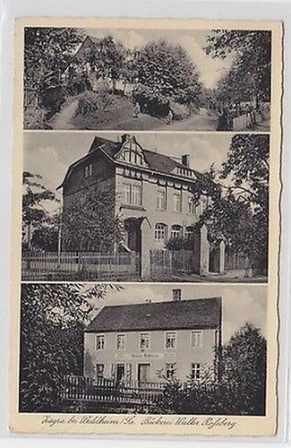 61037 mehrbild ziegra bei - 61037,