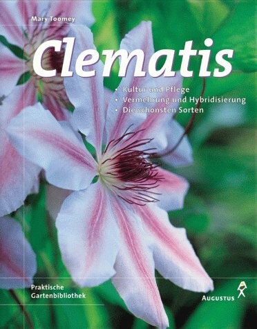 Clematis buch augustus - clematis,