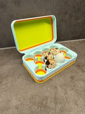 Wachteln, Wachtel Eier Karton