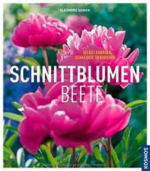 Schnittblumenbeete selbst - schnittblumenbeete:,