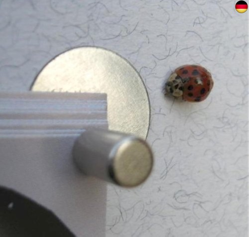 Mini magnet pinnwand die - mini-magnet-pinnwand:,