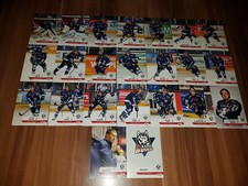 DEL2 DEL 2 18-19 2018-2019 Teamset EC Kassel Huskies 23 Karten NEU